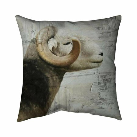 BEGIN HOME DECOR 26 x 26 in. Aries-Double Sided Print Indoor Pillow 5541-2626-AN455-1